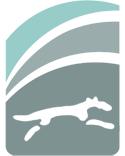 3counties_canine massage