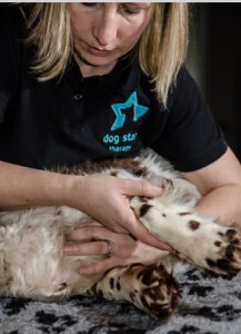 Dog Star Therapy-Jenny Coates