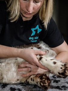 Dog Star Therapy-Jenny Coates