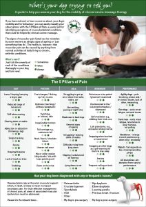 Canine Massage Guild - 5 Pillars of Pain, how to assess your dog for pain