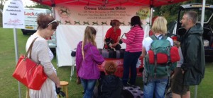 Canine Massage Free Muscle Check