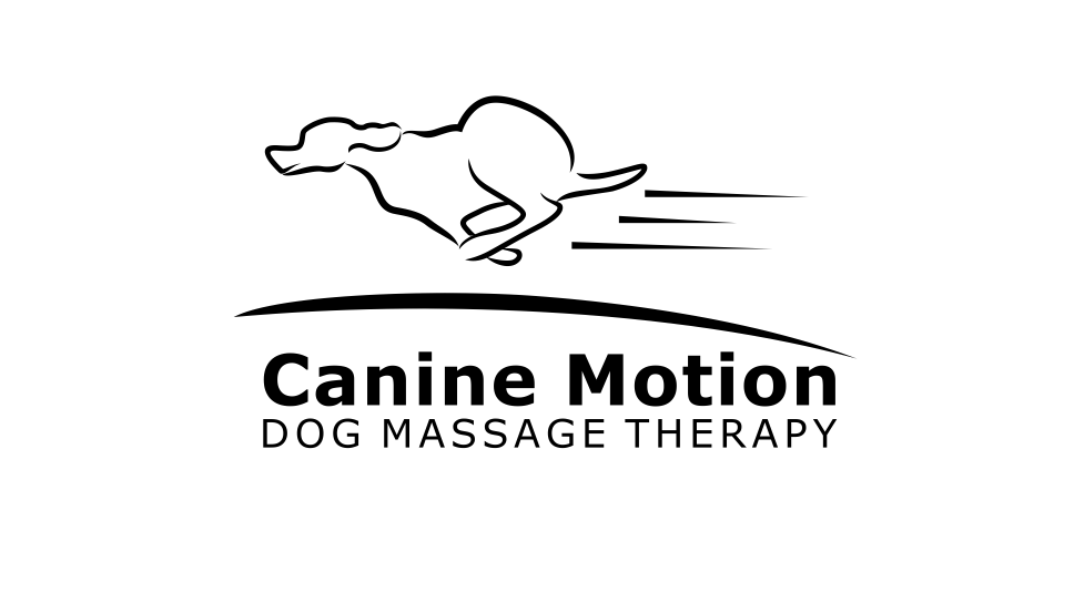 ren_glass_logo