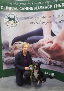 Canine Massage Guild