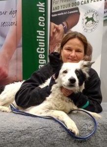 Canine Massage Guild