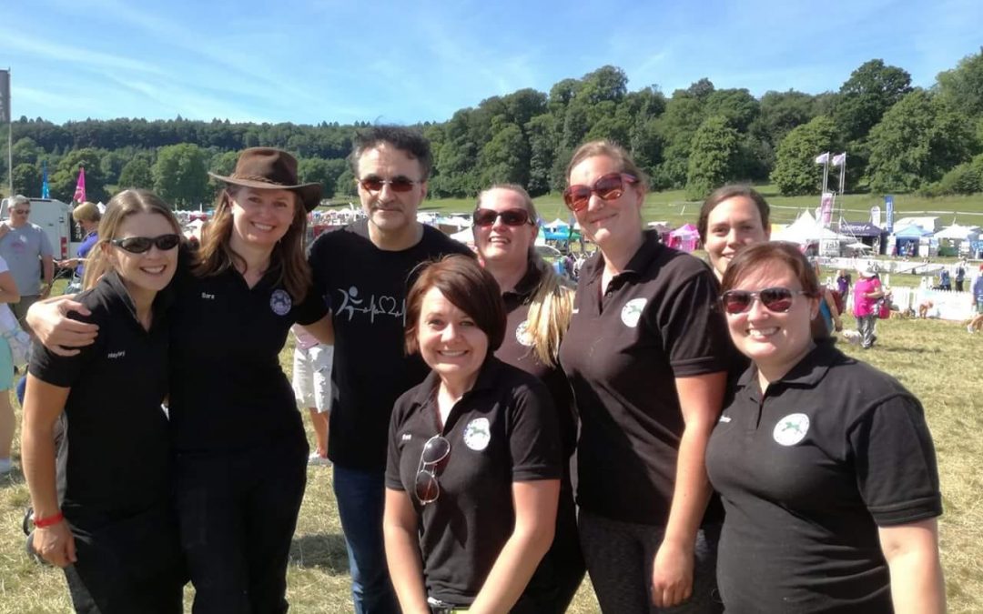 Dogfest North – a new perspective