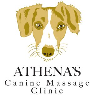 Athena Christodoulou logo