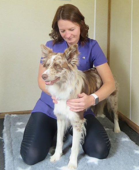 Advanced Palpation_NatalieMitchell_border collie Advanced Palpation_NatalieMitchell_border collie