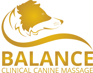Balance Clinical Canine Massage 2TP