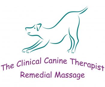 Clinical canine massge therapist Clinical canine massge therapist