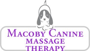 Macoby-Canine-Massage-1-1.jpg