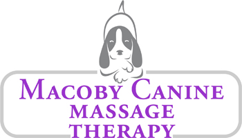 Macoby Canine Massage-1