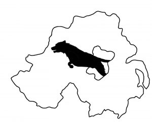 NI Clinical Canine Massage Logo