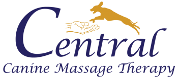 CCMT Logo Final PNG