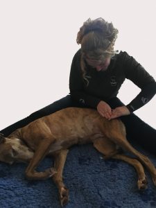 Claire Wyatt CW Clinical Canine Massage