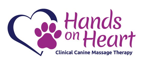 HandsonHeart logo Hayley Hilton - HandsonHeart logo