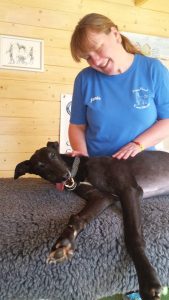 Janis Neilson Happy Hound