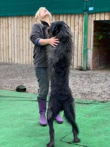Lia Maxwell Dogjoy