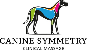 Logo_CaSammMass_one_line_RGB_Online (2)