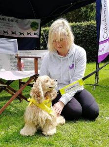 Paula Dryburgh Caledonian Canine Massage