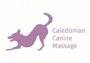 Paula Dryburgh Caledonian Canine Massage logo.jpg