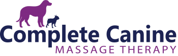 massagetherapy1 (1)