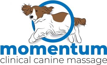 momentum logo