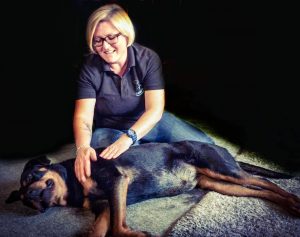 Remi, Rottweiler, Elbow Dysplasia