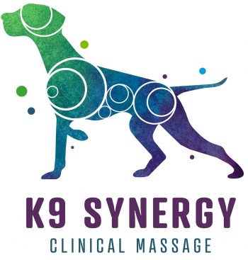 K9SYNERGY_CMSQUARE