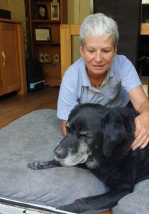 Clinical canine massage