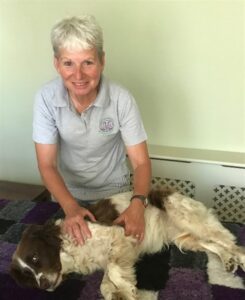 Cople Canine Massage