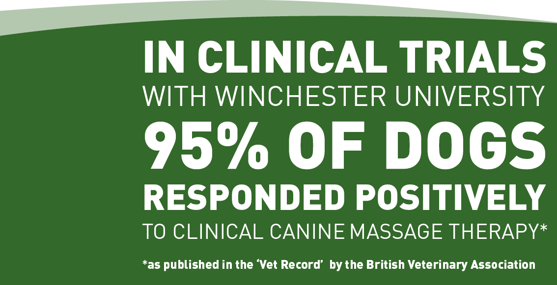 95% of dogs responded positively to canine massge