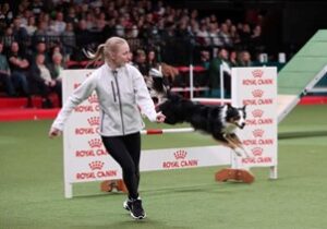 Crufts agility coral