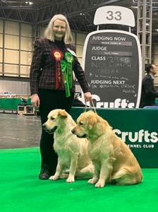 karen sultan and xavier special working dogs