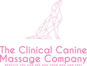 Traceymcelroybakerlogo