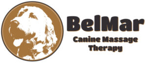 stuartkent-belmar-logo