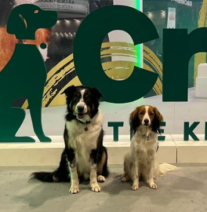 Rico and Thistle Competitive Obedience Display Team