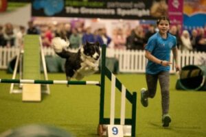 Amy and Fizz YKC Agility Pairs