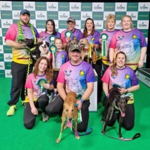 Focus Flyball Team