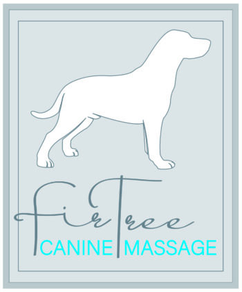 FirTree logo Fir tree logo