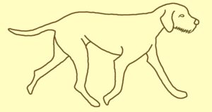 Hannah Walsh logo