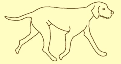 HWalshLogoPale