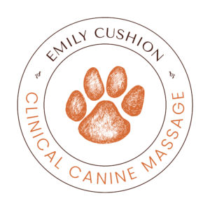 Emily Cushion logo