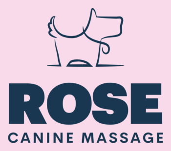 Lucy Rose logo Lucy Rose logo