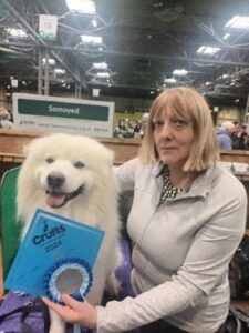 Samoyeds Good Citizen