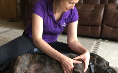 Is arthritic pain worse in the winter?