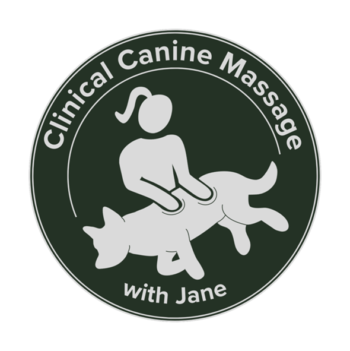 jane Christie logo Jane Christie logo