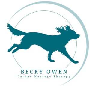 Becky Owen logo Becky Owen logo