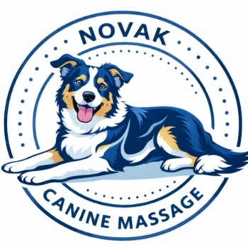 Anna Novak logo Anna Novak logo