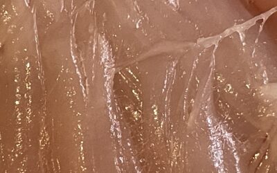 Clinical Canine Massage and the Release of Emotional Trauma stored in Fascia